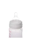 1 X Silver Biberon 250 ml & Anti-Kolik Biberon Emziği No:2 / M