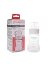 1 X Silver Biberon 250 ml & Anti-Kolik Biberon Emziği No:2 / M