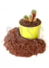 10 LT Cocopeat-Hindistan Cevizi Torfu