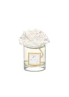 100 ml Gül Demeti Taşlı Oud Vanilya Oda Kokusu