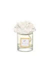 100 ml Gül Demeti Taşlı Oud Vanilya Oda Kokusu