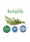 %100 Saf Doğal Avokado Yağı 20 ml Ispartamdan,6382528463815