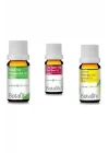 10ml Nane Çay Ağacı Ve Limon Kabuğu Yağı Seti,CPXZ4589