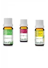 10ml Nane Çay Ağacı Ve Limon Kabuğu Yağı Seti,CPXZ4589