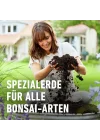 1602 Bonsai Toprağı 5 Lt