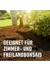 1602 Bonsai Toprağı 5 Lt