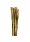 163702 Bambu Destek Çubuğu 10Lu - 6-8 Mm X 60 Cm