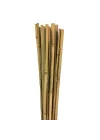 163702 Bambu Destek Çubuğu 10Lu - 6-8 Mm X 60 Cm