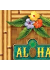 2 Parça Aloha Kapı Örtüsü, 30 x 5