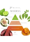 20 ml Manolya Buhurdanlık Esansı/Yağı