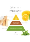 200 ml Silindir Şişe Palo Santo Oda Kokusu