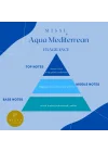 250 ml Aqua Medıterranean Yedek Esans