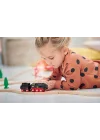 33884 Pilli Buharlı Tren