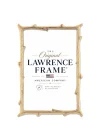 4x6 Gold Metal Picture Frame with Natural Branch Design
