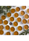 (6 Adet) Tealight Mum Doğal Petek Balmumu mum Standart Boy