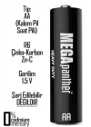 60lı AA R6 Kalın Kalem Pil Saat Pili Zn-C 1.5V