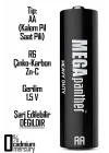 60lı AA R6 Kalın Kalem Pil Saat Pili Zn-C 1.5V