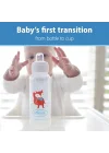 8 oz/250 ml PP Dar Ağız + Sippy Biberon Bardak, Tilki, Tekli Paket