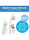 8 oz/250 ml PP Dar Ağız + Sippy Biberon Bardak, Tilki, Tekli Paket