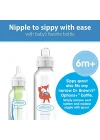 8 oz/250 ml PP Dar Ağız + Sippy Biberon Bardak, Tilki, Tekli Paket