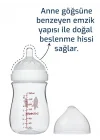 95302 Biberon, Çok Renkli