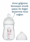 95302 Biberon, Çok Renkli