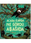 Acaba Karga Ne Gördü Aşağıda