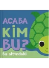 Acaba Kim Bu? - Su Altındaki