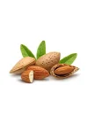 Acıbadem Yağı 20 Ml