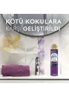 Aerosol Lavanta Ferahlığı Oda Kokusu 300 mL (1 x 300 mL)