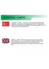 Agrodal Tarım Ata Tohumu Doğal Kahvaltılık Chery Domates 100 Adet Tohum
