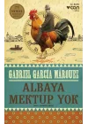 Albaya Mektup Yok