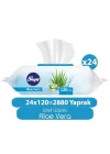 Aloe Vera Islak Havlu 24x120 (2880 Yaprak)