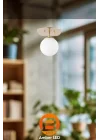 Amber LED Şık Camlı Tekli Sarkıt Avize Parlak Gold Mutfak ve Salon için E14, Altın-11671