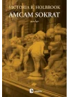 Amcam Sokrat