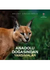 Anadolu Doğasından Yansımalar