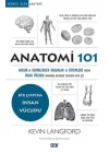 Anatomi 101
