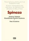 Anlama Yetisinin Düzeltilmesi Üzerine İnceleme