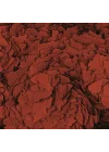 Astacolor 12gr