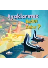 Ayaklarımız Neden Kokar? - Neden Serisi
