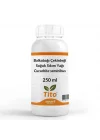 Balkabağı Çekirdeği Yağı Soğuk Sıkım 250 ml
