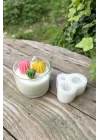 Ball Mini Üçlü Sukulent Mum Kalıbı (Silikon)