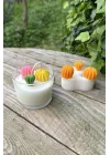 Ball Mini Üçlü Sukulent Mum Kalıbı (Silikon)