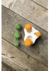 Ball Mini Üçlü Sukulent Mum Kalıbı (Silikon)