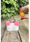 Ball Mini Üçlü Sukulent Mum Kalıbı (Silikon)