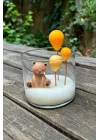 Balon Elips Set Silikon Mum Kalıpları
