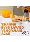 Banyo Tüm Boru Tipleri için Jel Lavabo Açıcı 1000 mL
