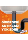 Banyo Tüm Boru Tipleri için Jel Lavabo Açıcı 1000 mL