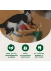 Baston Şeker Kedi Oyuncağı - Kedi Naneli, Pamuklu