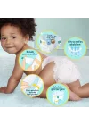Bebek Bezi Premium Care 6 Numara 35 Adet